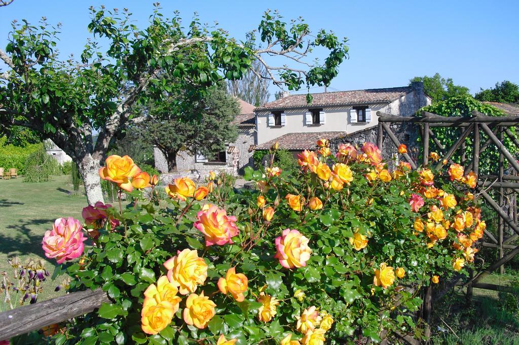 Luxury B&B Maison A Votre Sante, In Bordeaux Wine Region Savignac-de-Duras Экстерьер фото
